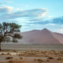 NAM HAR Dune45 2016NOV21 028 : 2016 - African Adventures, Hardap, Namibia, Southern, Africa, Dune 45, 2016, November